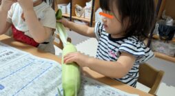 8月の様子【ぴよぴよ社台】