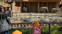 秋の遠足～東山動物園に行ってきました～　【ぴよぴよ社台】